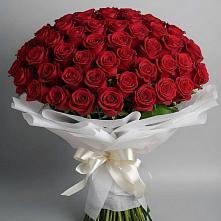 Букет 101 Красная роза Блэк Мэджик #REPLACE_PRED# Кабехабле
