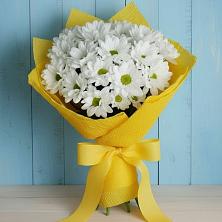 Букет цветов из:  Хризантемы в Кабехабле