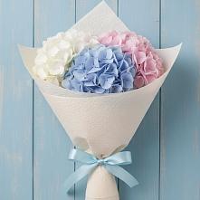 Букет цветов из:  Гортензия в Кабехабле