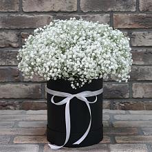 Цветочная композиция из Гипсофила в шляпной коробке #REPLACE_PRED# Кабехабле