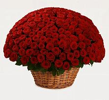 Премиум букет из: Розы #REPLACE_PRED# Кабехабле